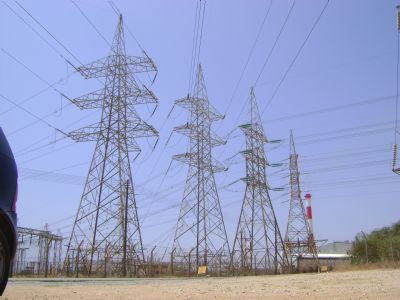 ������˹̹�ָ������˹���ڵ���